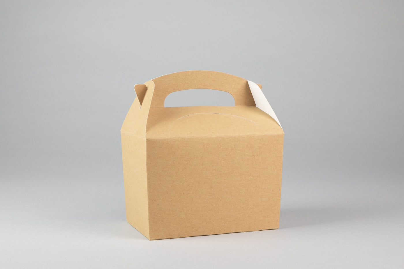 Gable Lunch Box with Handle