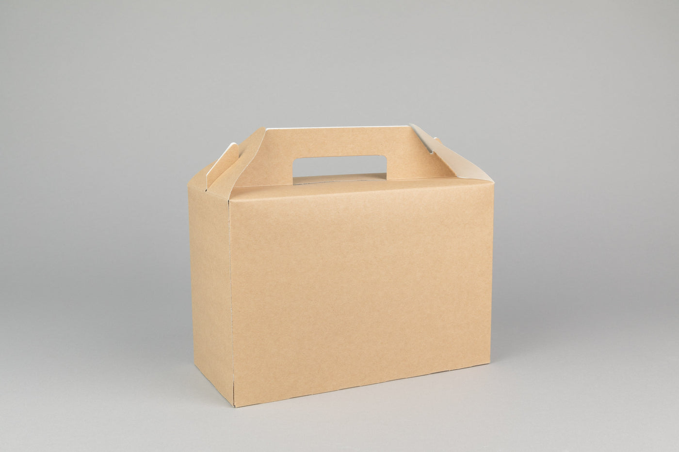 Gable Lunch Box with Handle